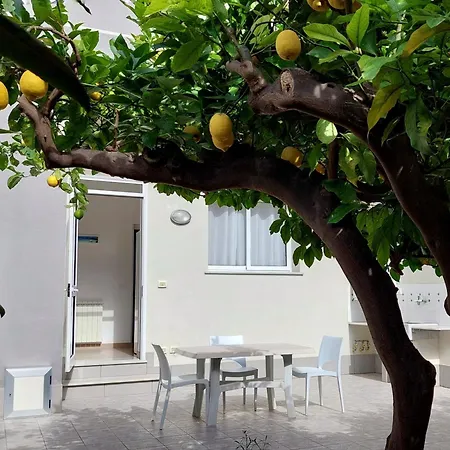 Casa Granata Gæstehus Trapani